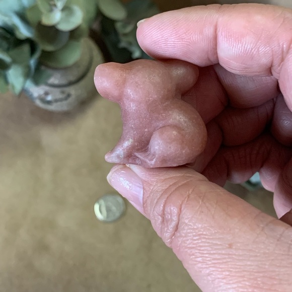 Unakite Koala - Picture 5 of 6